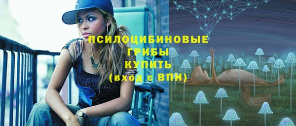 ПСИЛОЦИБИНОВЫЕ ГРИБЫ Яранск