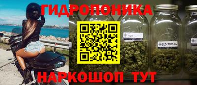 скорость Жуковский