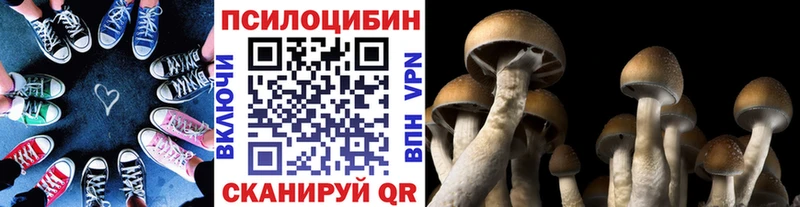 Псилоцибиновые грибы мицелий  Новочеркасск 