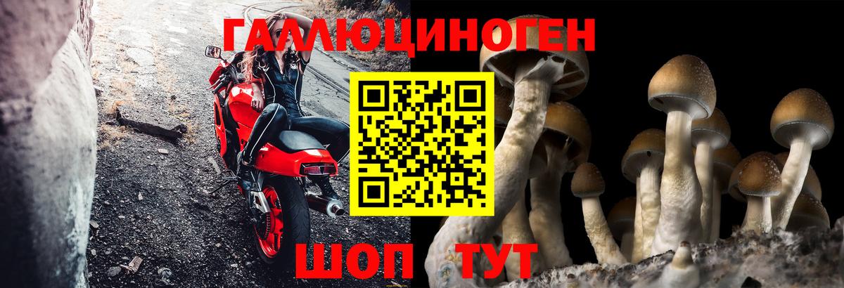 Галлюциногенные грибы мицелий  Вход с VPN  Новочеркасск 